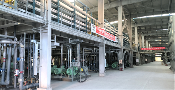 圖/倍杰特 圖/倍杰特