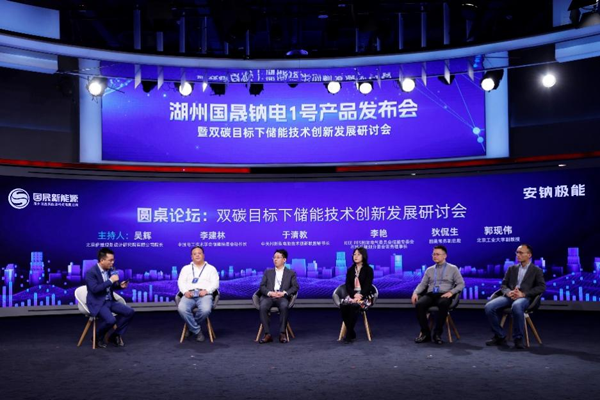 “雙碳目標下儲能技術創新發展”研討