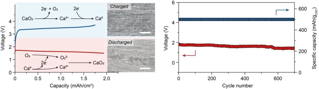 圖2. 鈣-氧氣電池放電產物的可逆生成和分解（左）與充放電循環穩定性（右）