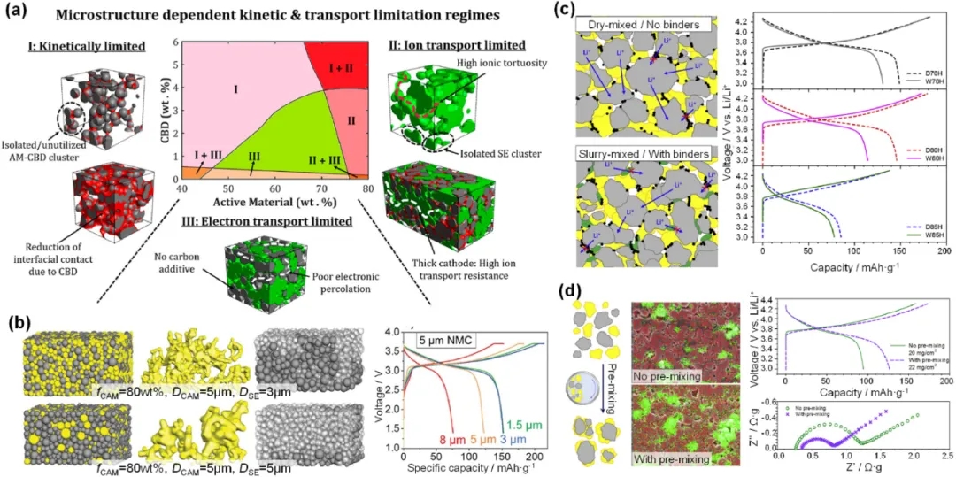 圖11 影響ASSB復(fù)合電極內(nèi)輸運動力學(xué)的關(guān)鍵因素。