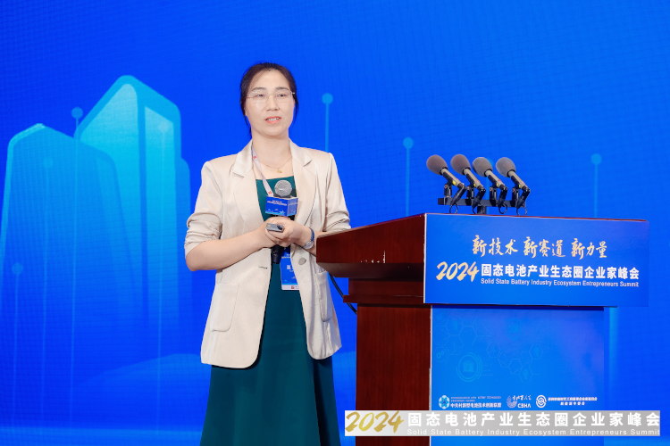 諾德新材料股份有限公司研究院院長、博士丁瑜