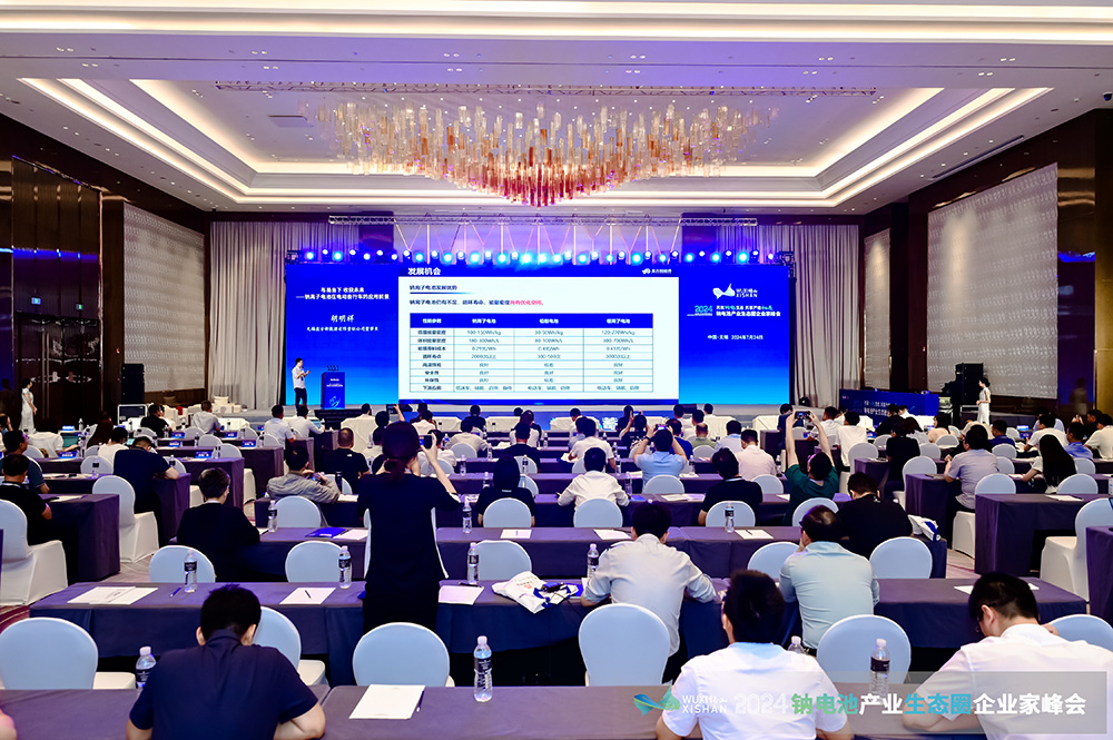  2024中國(guó)（無(wú)錫）鈉電池產(chǎn)業(yè)生態(tài)圈企業(yè)家峰會(huì)現(xiàn)場(chǎng)