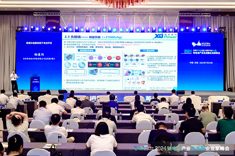 2024中國（無錫）鈉電池產(chǎn)業(yè)生態(tài)圈企業(yè)家峰會現(xiàn)場 