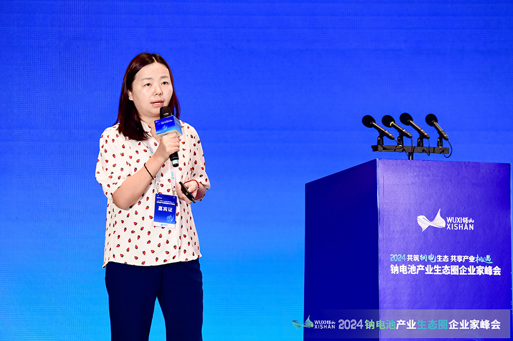 深圳中興新材技術股份有限公司副總經理、研究院院長張輝