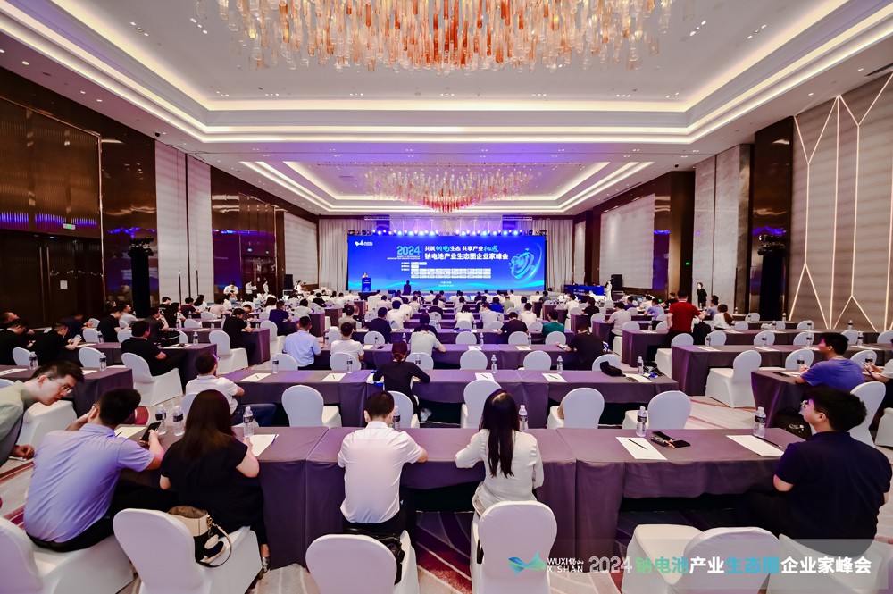 鈉電池產業為什么這么火？超150位大咖暢談行業發展