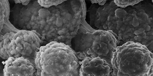 為滿足訂單交付需求，OCSiAl中國合作伙伴將進一步提升TUBALL BATT 單壁碳納米管分散液產能