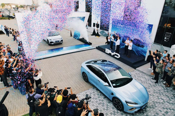 4628.6億元！同比增長20.7%！海關總署發布！