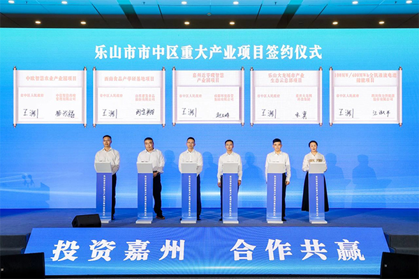 釩電池,儲(chǔ)能,偉力得