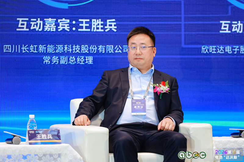 四川長虹新能源科技股份有限公司常務副總經理王勝兵
