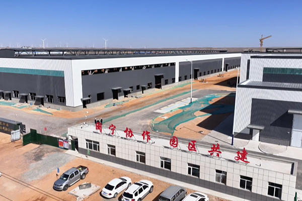 圖片來源:紅寺堡區融媒體 圖片來源:紅寺堡區融媒體