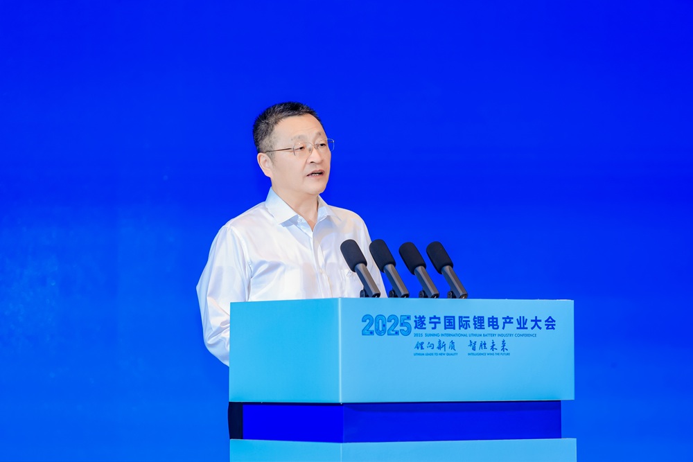 葛紅林：暴利時代終結(jié) 四大方向破局鋰電原材料“修復期”