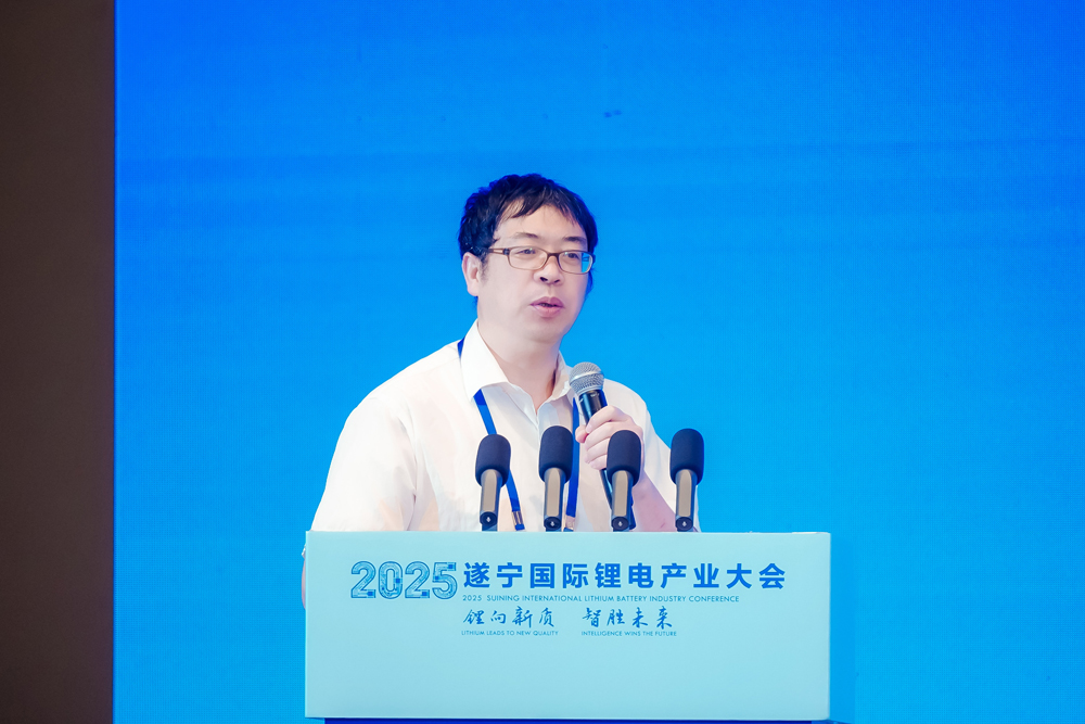 吳宇平:儲(chǔ)能才真正起步 破解電池技術(shù)安全問題已十分迫切